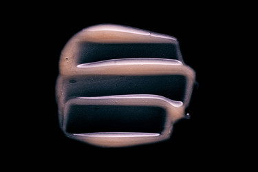 Similar image 21204312