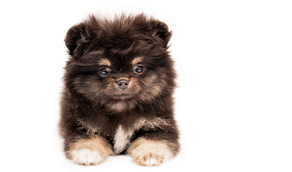 Similar image 21207959