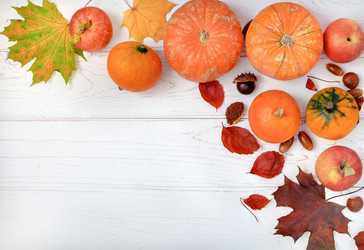 Similar image 21206468