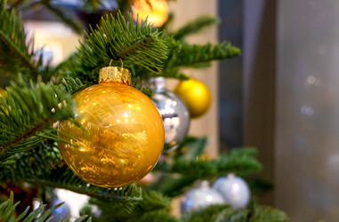 Similar image 21206472