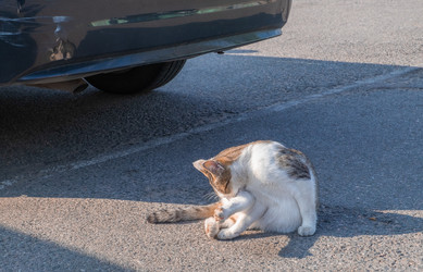 Similar image 21206479