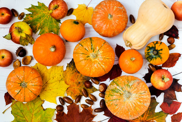 Similar image 21206485