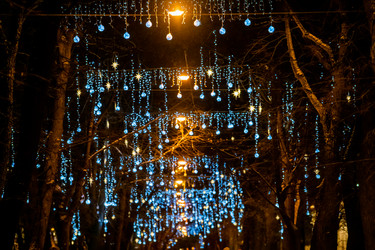 Similar image 21207969