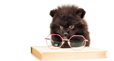 Similar image 21207971