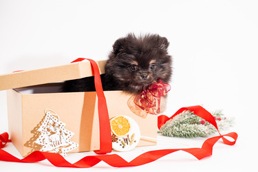 Similar image 21207973