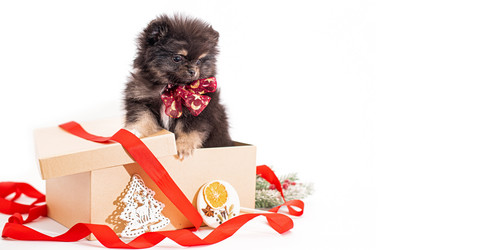 Similar image 21207974