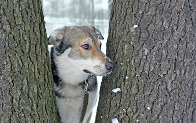 Similar image 21205670