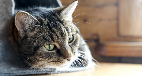 Similar image 21215937