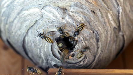 Similar image 21215944