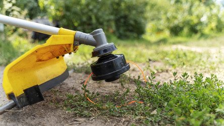 Similar image 21215945