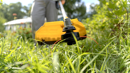 Similar image 21215946