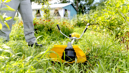 Similar image 21215948