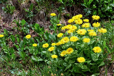 Similar image 21236554