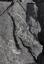 Similar image 21212826