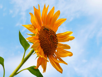 Similar image 21234618