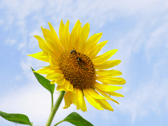 Similar image 21234621