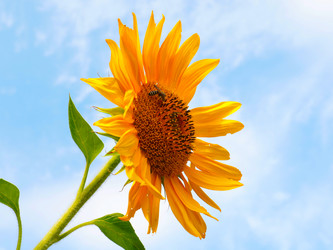 Similar image 21234622