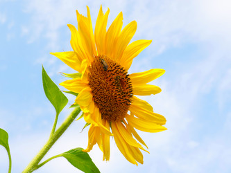 Similar image 21234623