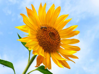 Similar image 21234624