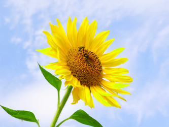 Similar image 21234625