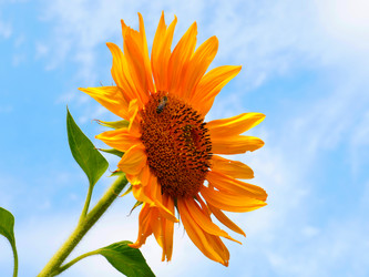 Similar image 21234626