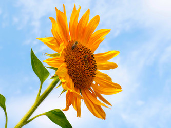 Similar image 21234658