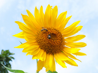 Similar image 21234659