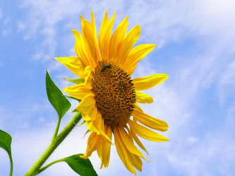 Similar image 21234661