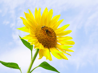 Similar image 21234662