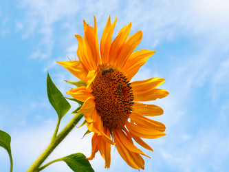 Similar image 21234663