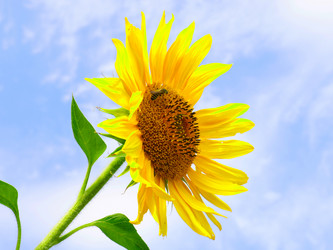 Similar image 21234664