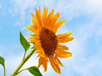 Similar image 21234665