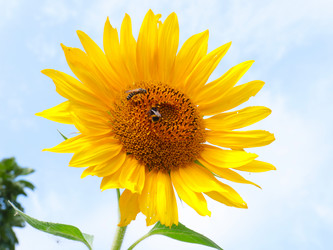 Similar image 21234666