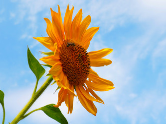 Similar image 21234667