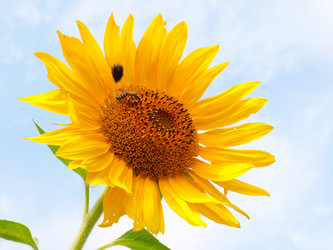 Similar image 21236790