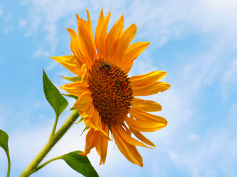 Similar image 21236791