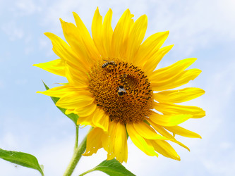 Similar image 21205404