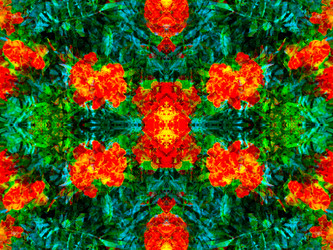 Similar image 21236793