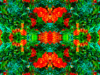 Similar image 21236794