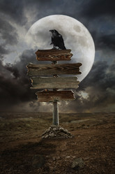 Similar image 21205734