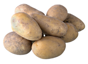 Similar image 21205771