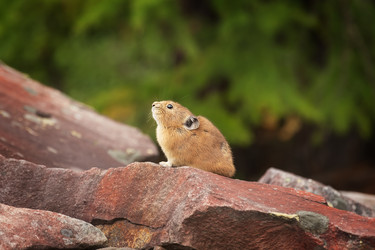 Similar image 21210774