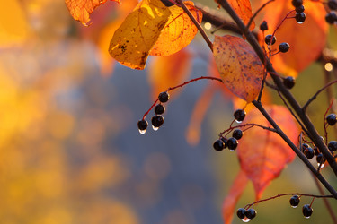 Similar image 21210776