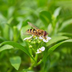 Similar image 21210781