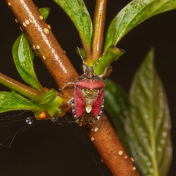 Similar image 21210783