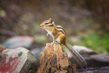 Similar image 21210784