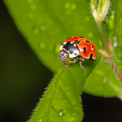 Similar image 21210787