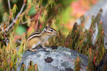 Similar image 21210790