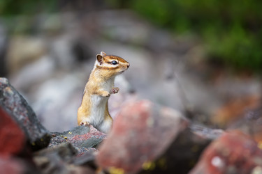 Similar image 21210791