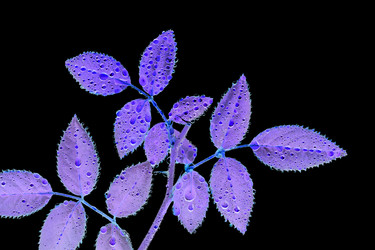 Similar image 21210795